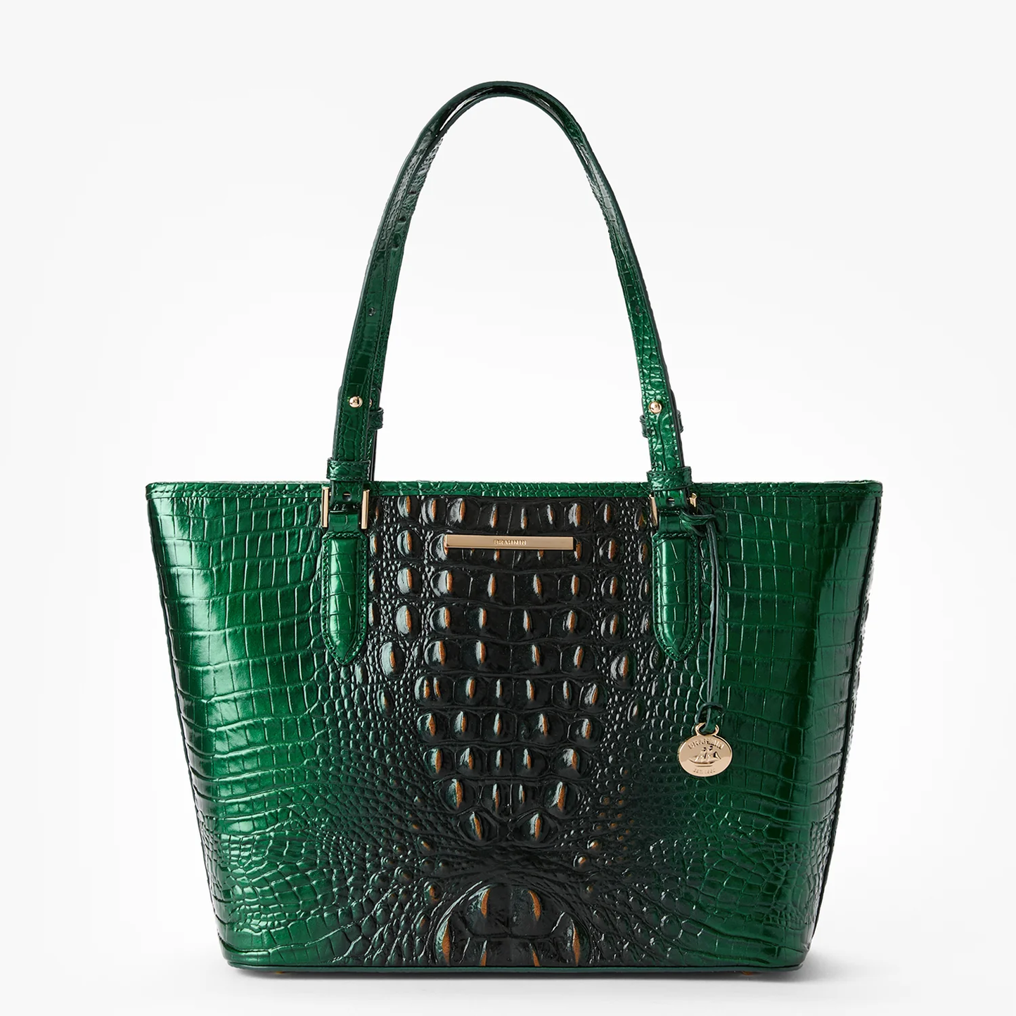 Brahmin Melbourne Collection Medium Asher Tote, Evergreen Ombre